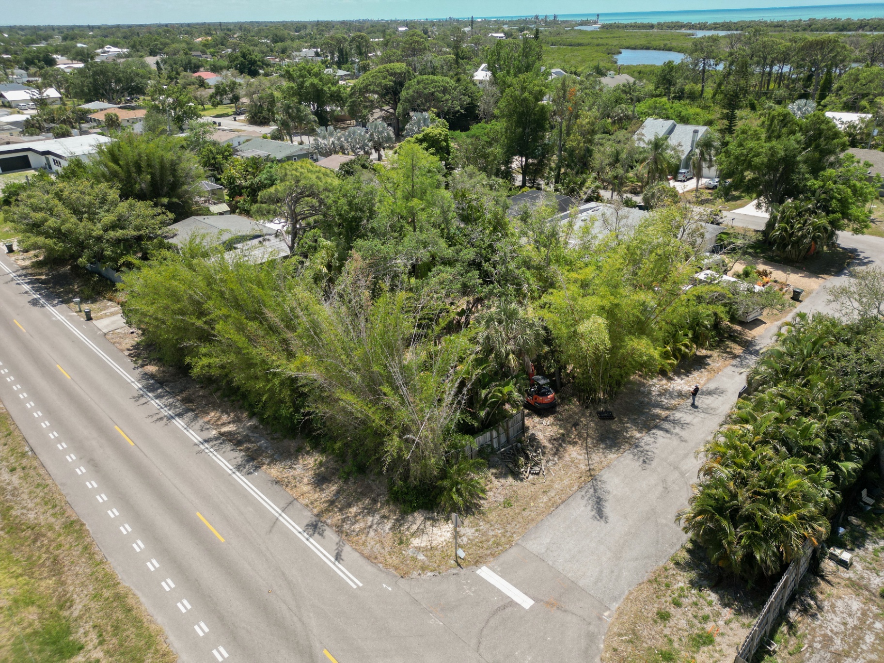 Aerial view of overgrown residential lot before clearing