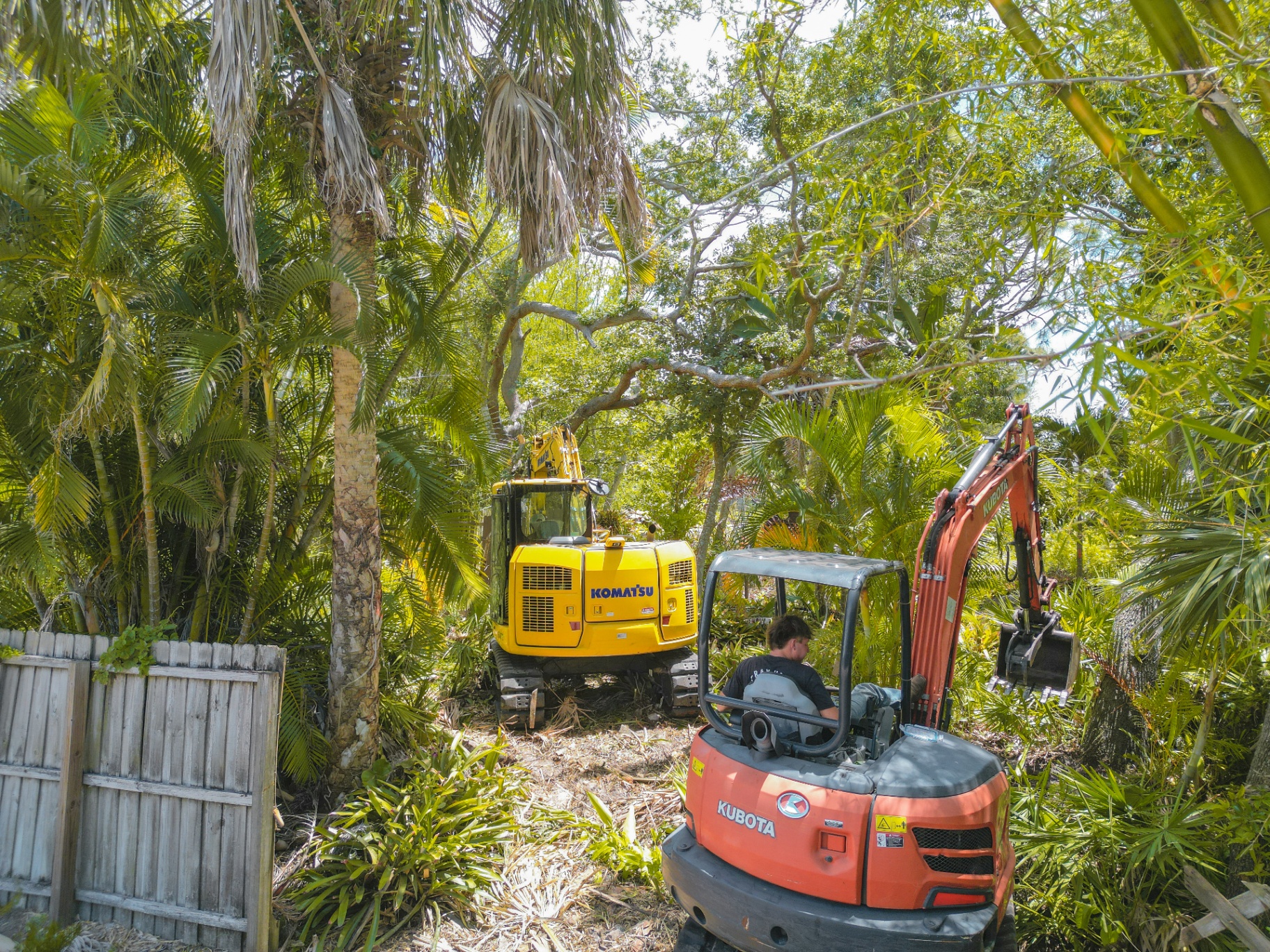 Komatsu and Kubota excavators clearing dense vegetation