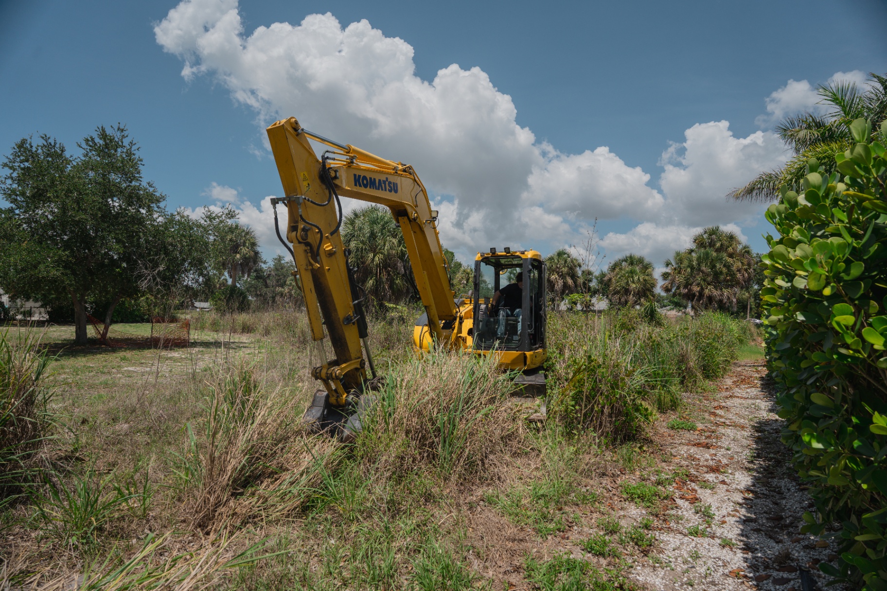 Komatsu excavator clearing overgrown lot with palms