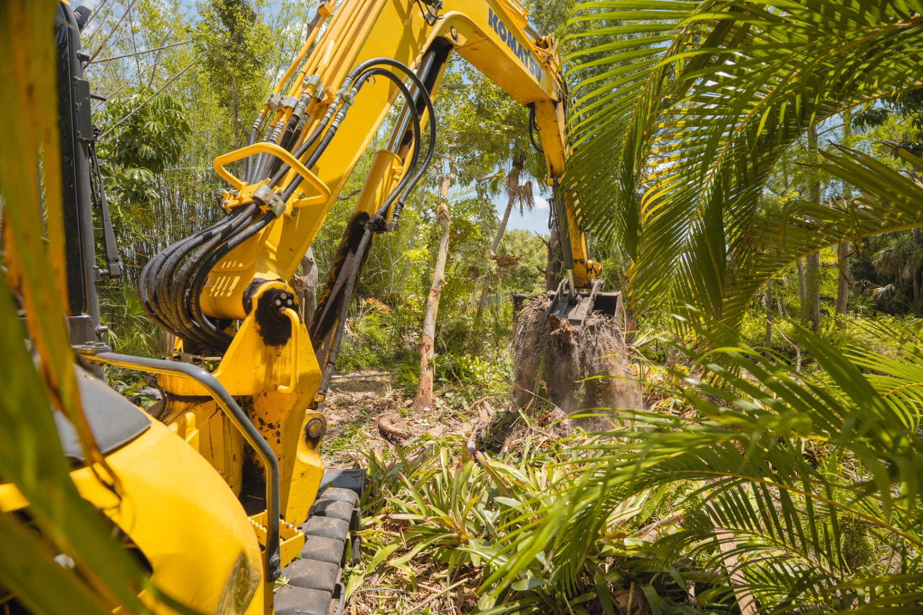 Komatsu excavator removing palm stump
