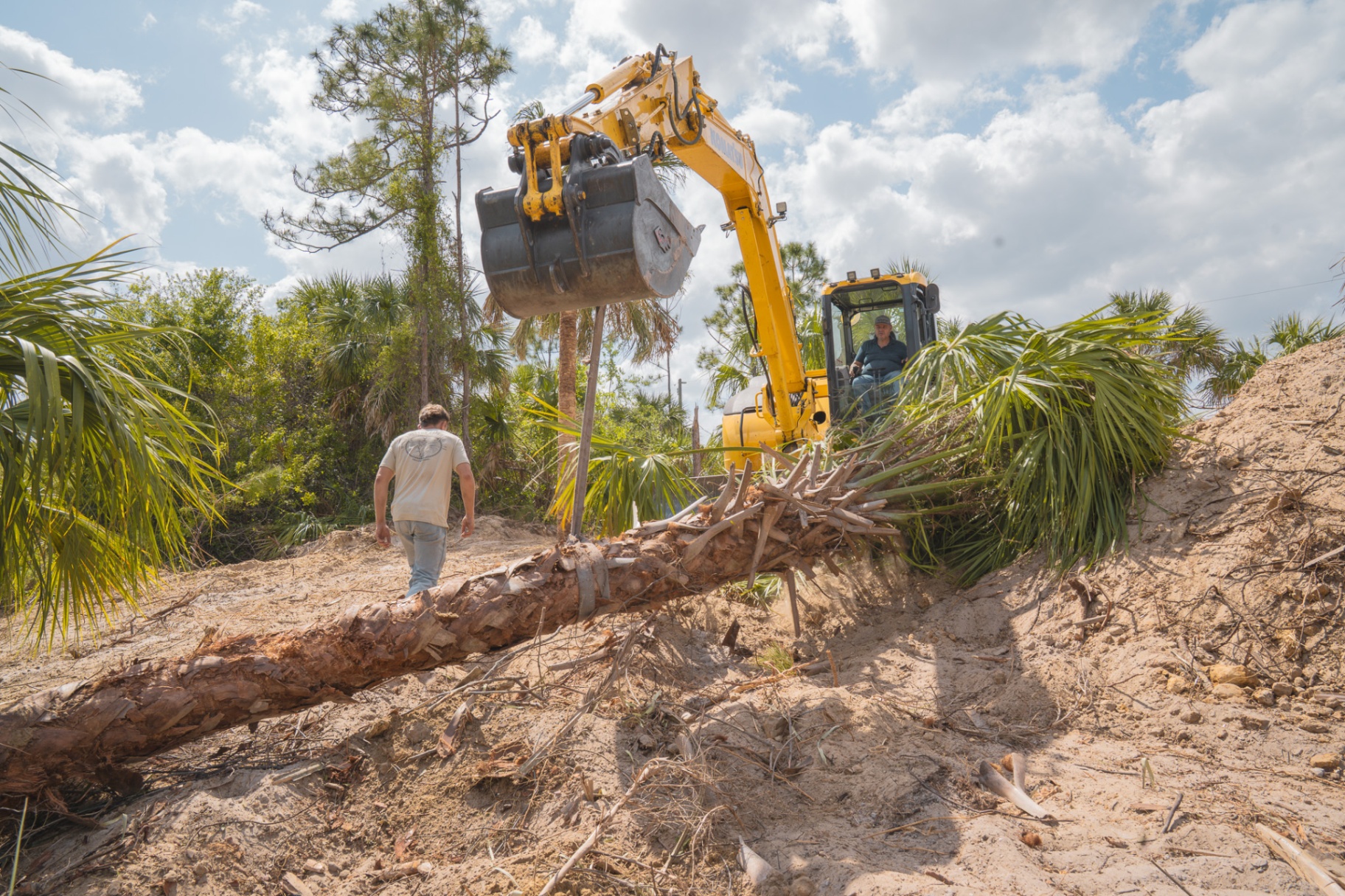 Tree removal with excavator